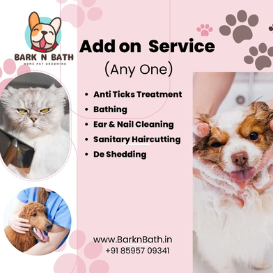 Bark and bath dog fashion grooming